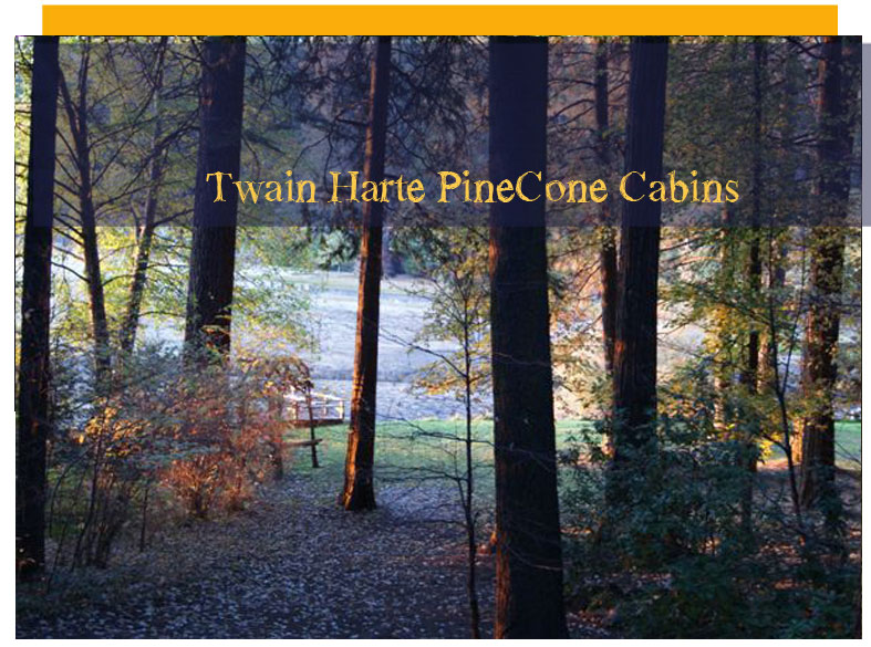 Twain Harte Pinecone Cabins: true Adirondack pleasures in the Sierras