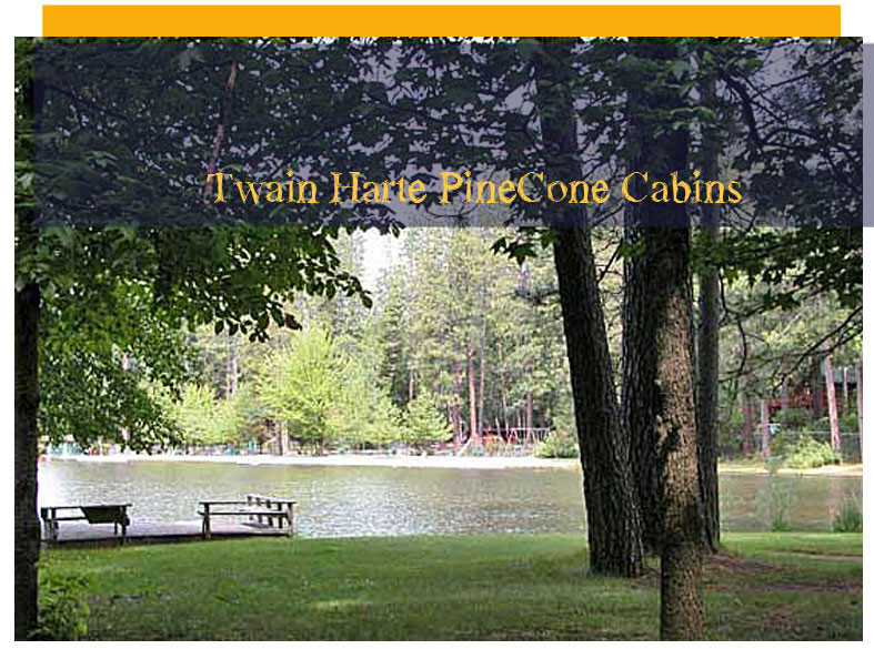 Twain Harte Pinecone Cabins: true Adirondack pleasures in the Sierras