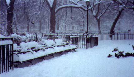New York after a blizzard